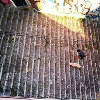 13558921_1036650176423695_2139672423798042906_o