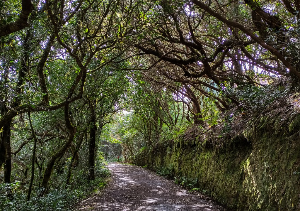 Parque rural de anaga, Tenerife