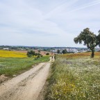 Évora a Manta Rota de bicicleta
