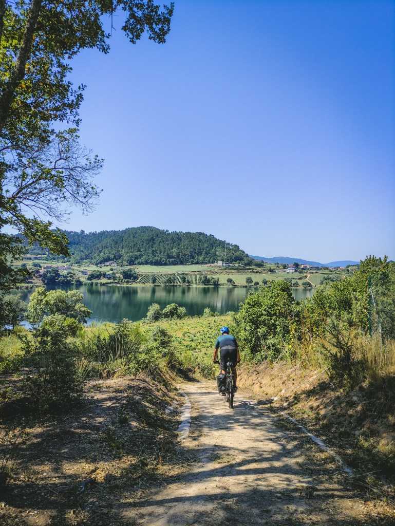 as vinhas do Ribeiro