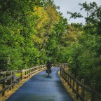 Ecopistas e Pedaladas