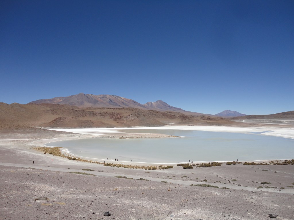 Reserva Nacional de Fauna Andina Edoardo ALvaroa