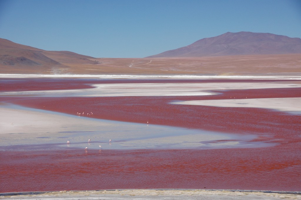 Laguna Colorada, Bolivia