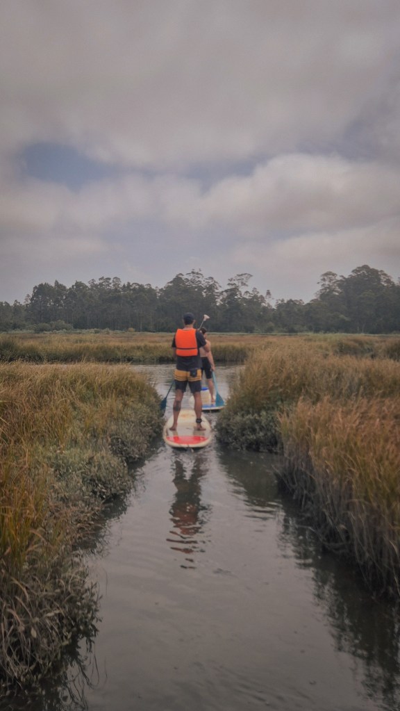SUP na Ria de Aveiro